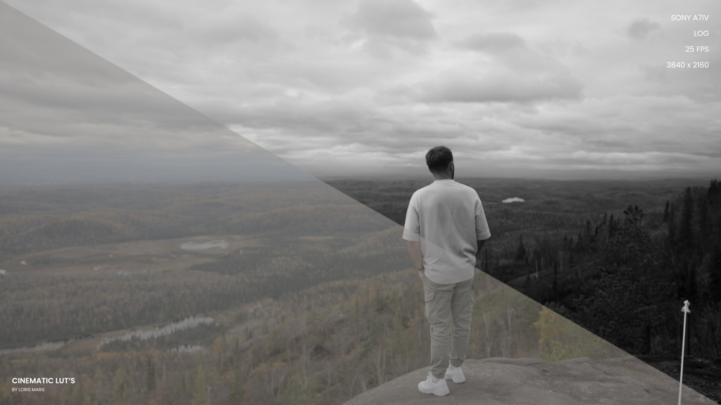 Cinematic LUT