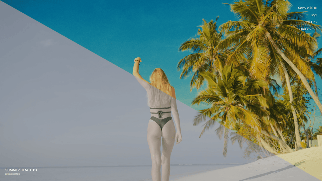 Summer Film LUT