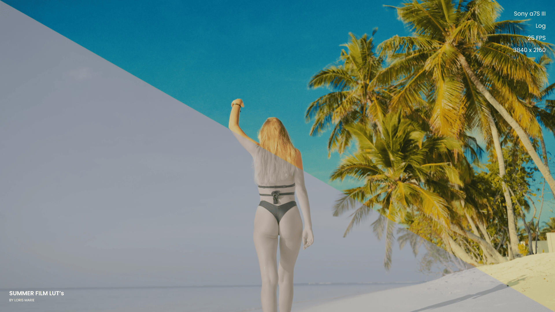 Summer Film LUT